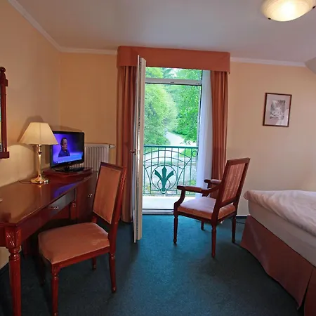 Regent & Wellness 3*