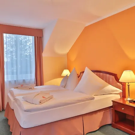 Hotel Regent & Wellness