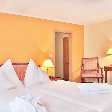 Regent & Wellness