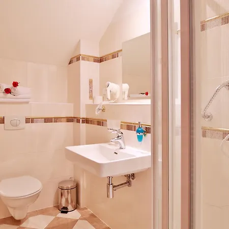 Regent & Wellness 3*